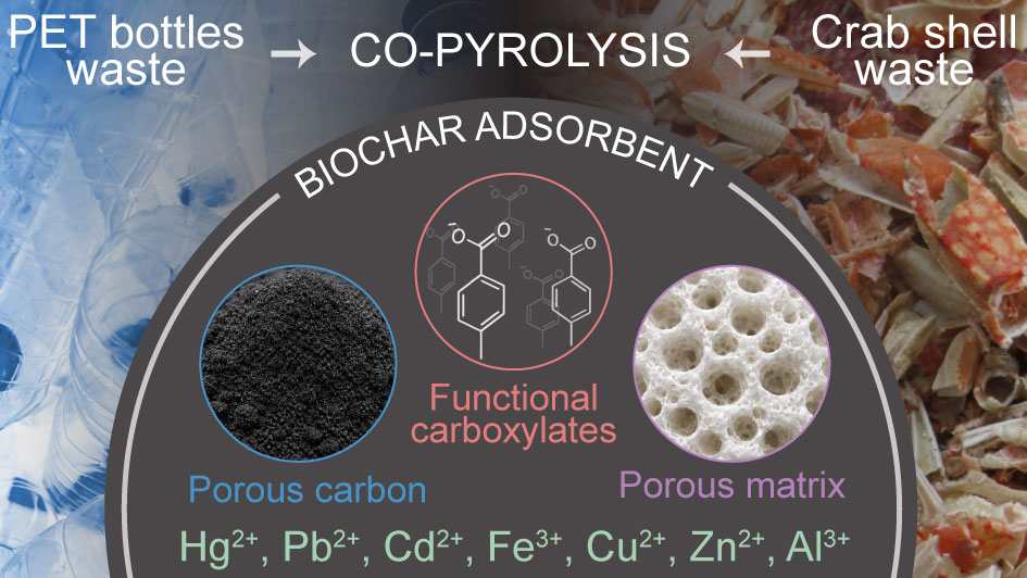 Graphical abstract: biochar produced by co-pyrolysis of crab shell and PET waste